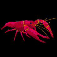 Shrimp Guy