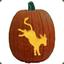 DonkeyPumpkin