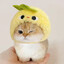 tozuso