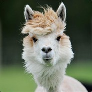 Llama