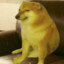 Sniff Snoff