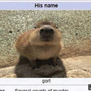 gort