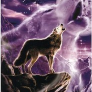 WolfKing826