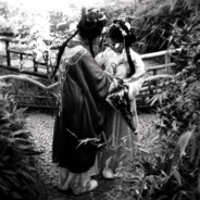 番茄炒土豆Shawent