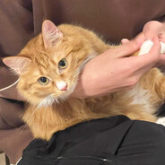 下床摸黑溜达顺路溜鬼