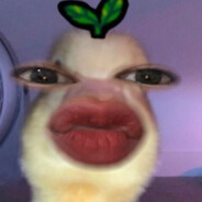 Avatar of CNammON