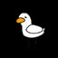 Haji