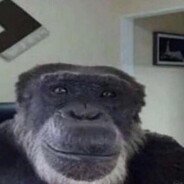 mr neekeri