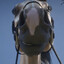 Horsey