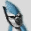 Mordecai from Mordecai and Rigby