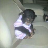 РУИНЮ ИДИТЕ НАХУЙ