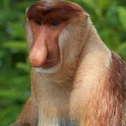 💖𝒥𝒶𝓃𝓊𝓈𝓏💖