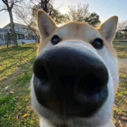 打个软乎乎糯叽叽的胶