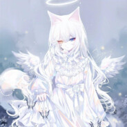 带你遨游天空和大海