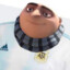 Gru argentino