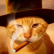 西部橘斑哈基米