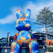 b站关注嘉然今天吃什么