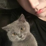Big Avatar