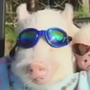 queåla