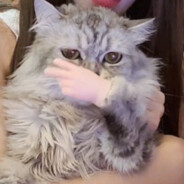 林登万将军444444