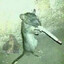 MePicaElPoto
