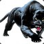Panther®