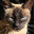 Troxmarc's Avatar