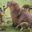 CapybaraBoy