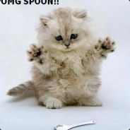 SpooN