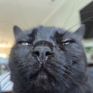 carl