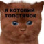 КотовийТолстячок