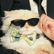 买女孩的小火柴