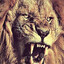 Kleber_1987_Barros_20Matar