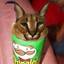 fringle