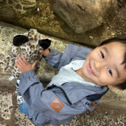 我还没看说明书