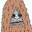 Sassy the sasquatch