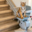 Tiger Stairlift