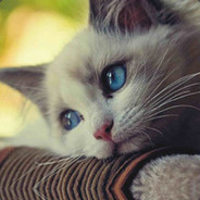 Pls dont be angry im new