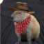 Cowboy Capybara