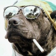 Smoker