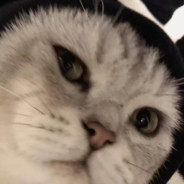 终将青春还给她