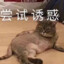 东莞郭富城