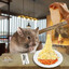 Parmed Up Rat