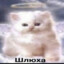 НАЧОС
