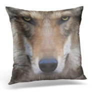 RelAlphaMal-e🐺🐺🐺