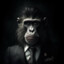 Macaco de Terno