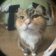 ♡ Л е р а ♡ - steam id 76561197961188831