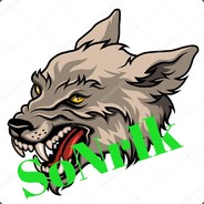 SoNrIk