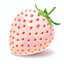 strawberry ZombiE