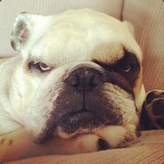 大风起兮云飞扬，威加海内兮归故乡